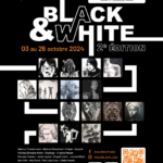 Exposition : « Black & White - 2e Edition » à La Galerie d'art Liège By Culture Liège ASBL