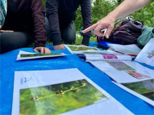 Du 10 au 11 Mai 2025 - Cours & Formations - Formation nature Week end - Le monde fascinant et étonnant des insectes