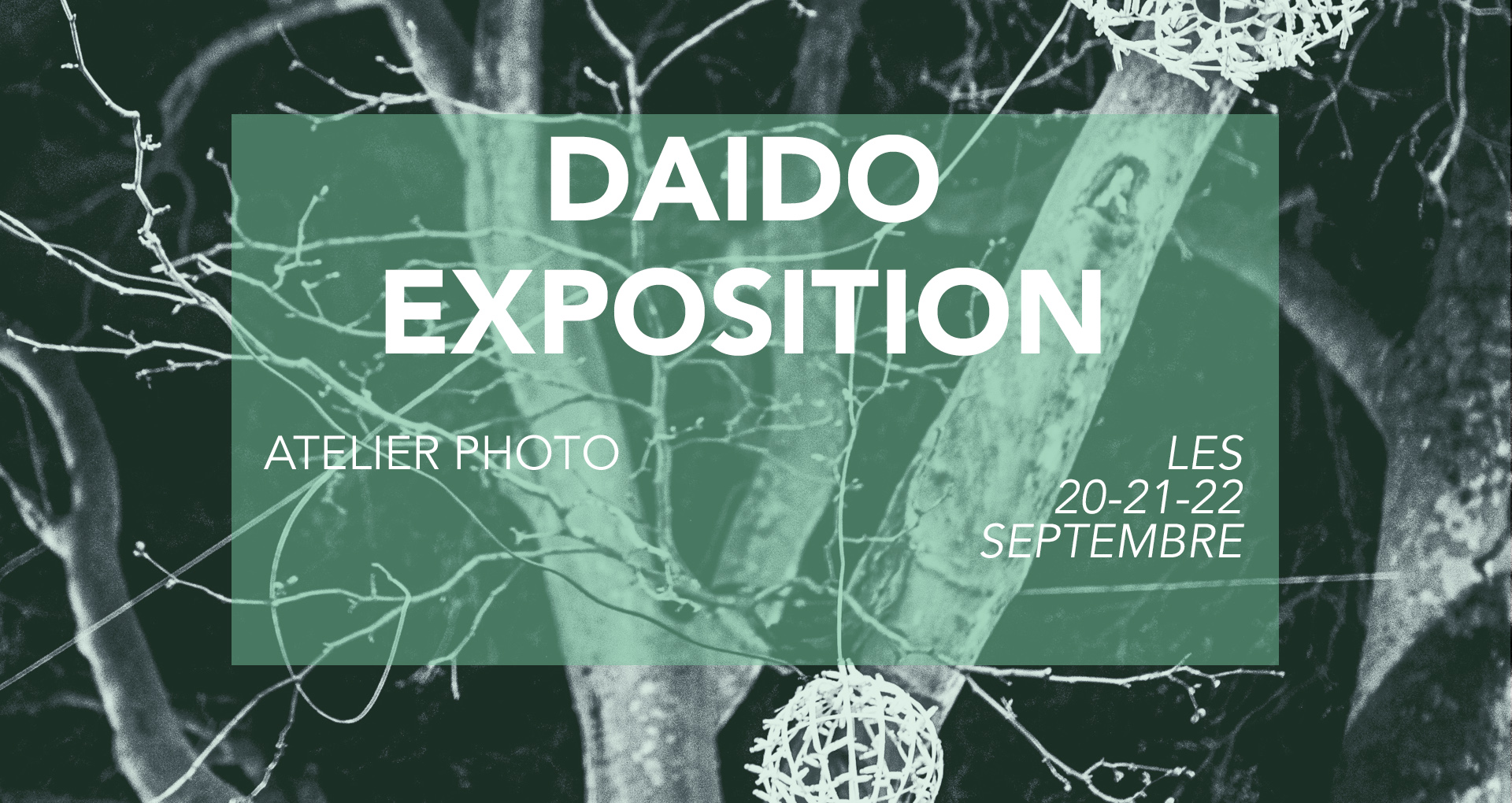 DAIDO Exposition de l'atelier photo du PASSAGE9