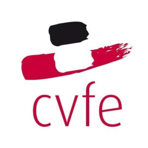 Collectif contre les Violences Familiales et l'Exclusion (CVFE)