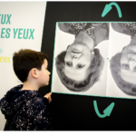 Exposition : Illusions - Qui a tort ? Qui a raison ?