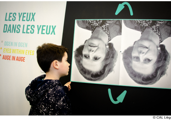 Exposition : Illusions - Qui a tort ? Qui a raison ?