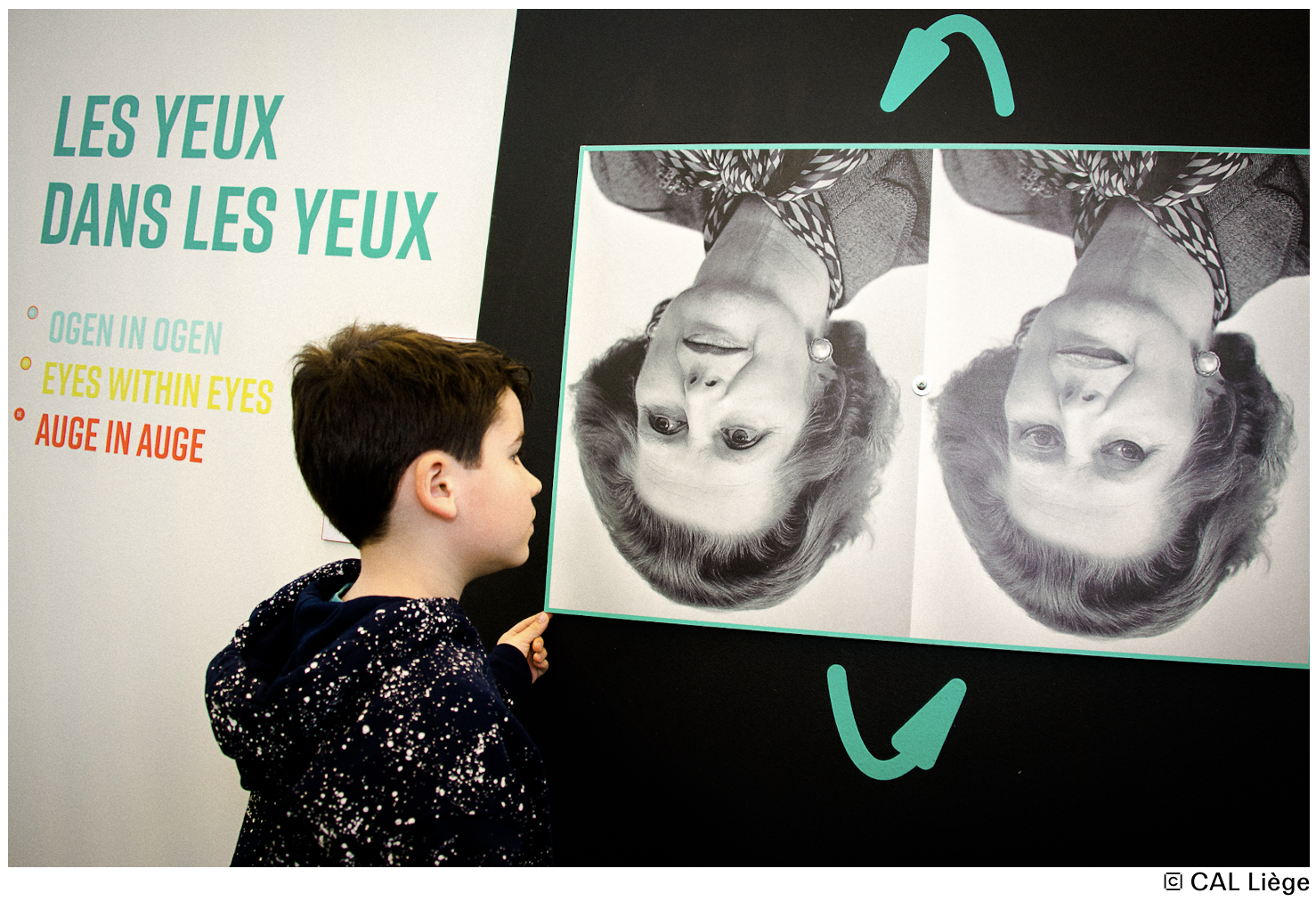 Exposition : Illusions - Qui a tort ? Qui a raison ?