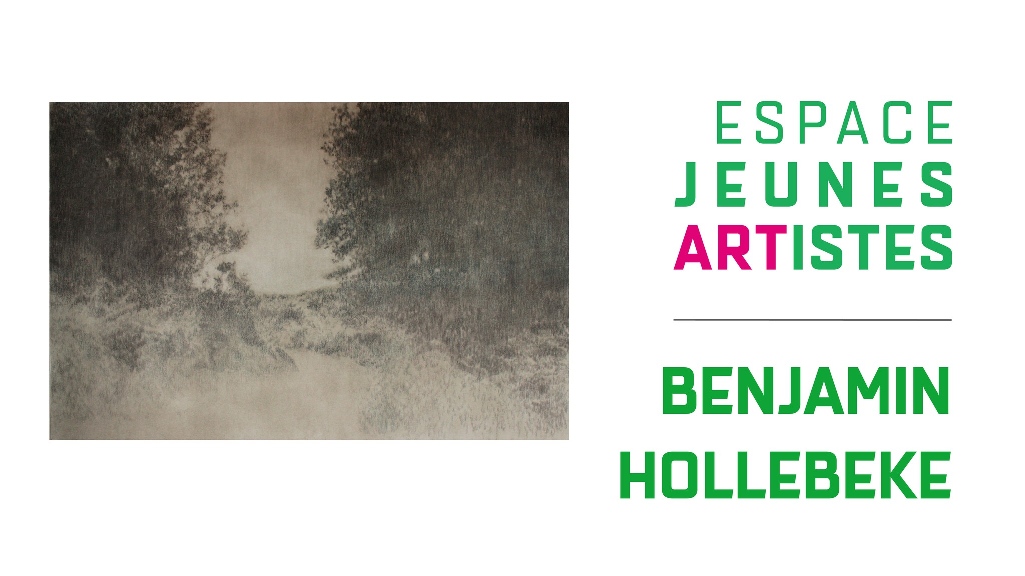 Exposition de l'Espace Jeunes Artistes - Benjamin Hollebeke à La Boverie à LIEGE