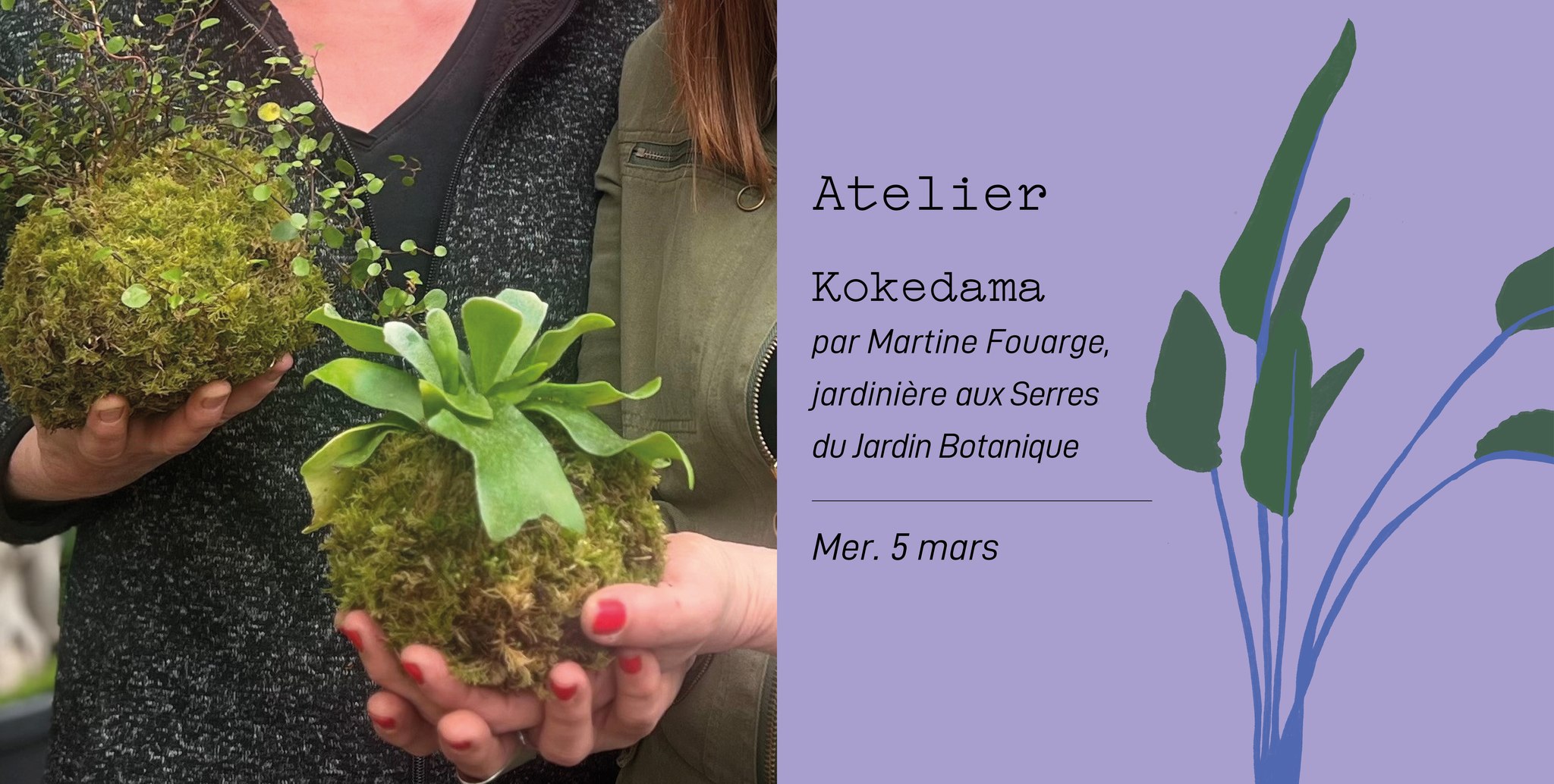 Atelier Kokedama aux Serres du Jardin Botanique