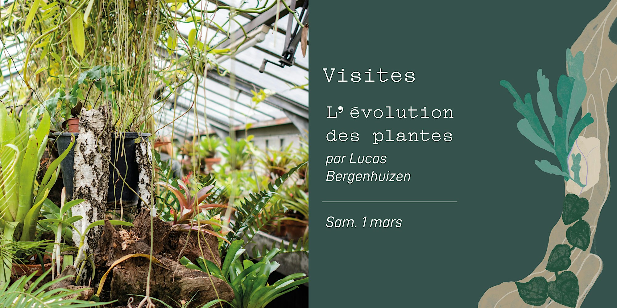 Visite - L'évolution des plantes aux Serres du Jardin Botanique